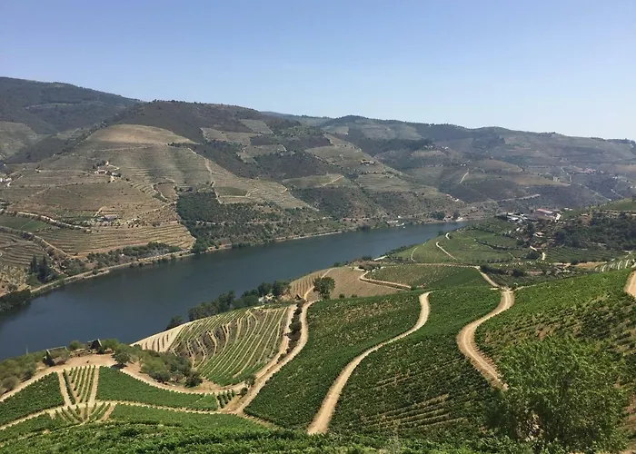 Refugio D'anita Douro Valley House 招待所